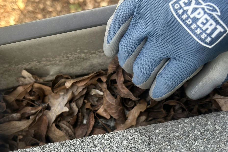 Gutter Cleaning Abita Springs